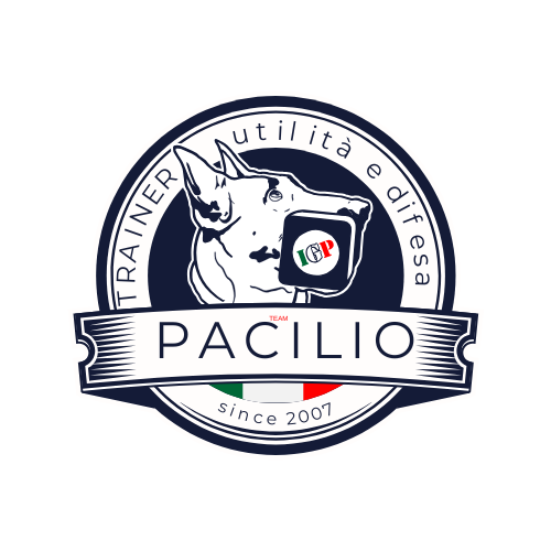 Logo Team Pacilio